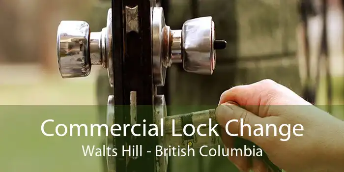 Commercial Lock Change Walts Hill - British Columbia
