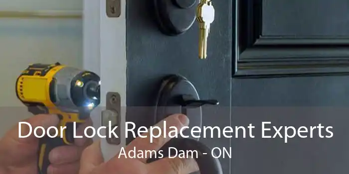 Door Lock Replacement Experts Adams Dam - ON