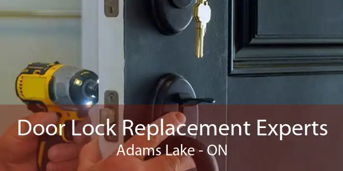 Door Lock Replacement Experts Adams Lake - ON