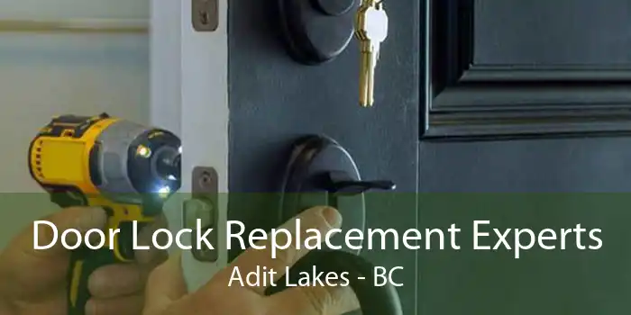 Door Lock Replacement Experts Adit Lakes - BC