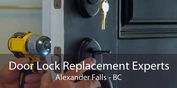 Door Lock Replacement Experts Alexander Falls - BC