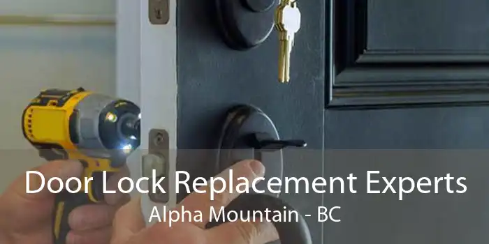 Door Lock Replacement Experts Alpha Mountain - BC