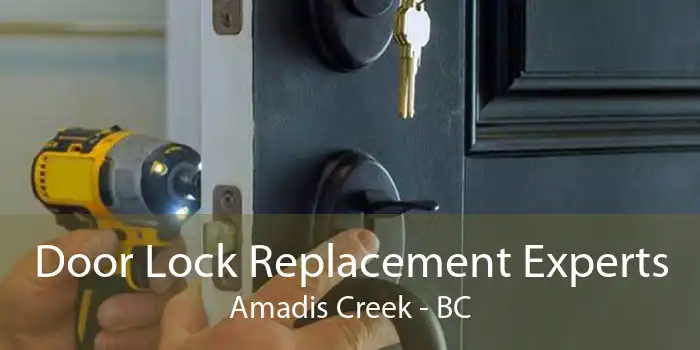 Door Lock Replacement Experts Amadis Creek - BC