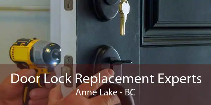 Door Lock Replacement Experts Anne Lake - BC