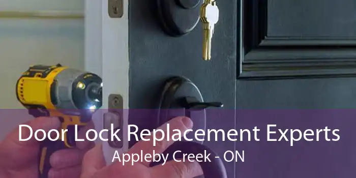 Door Lock Replacement Experts Appleby Creek - ON