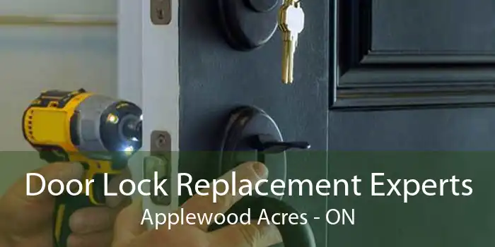 Door Lock Replacement Experts Applewood Acres - ON