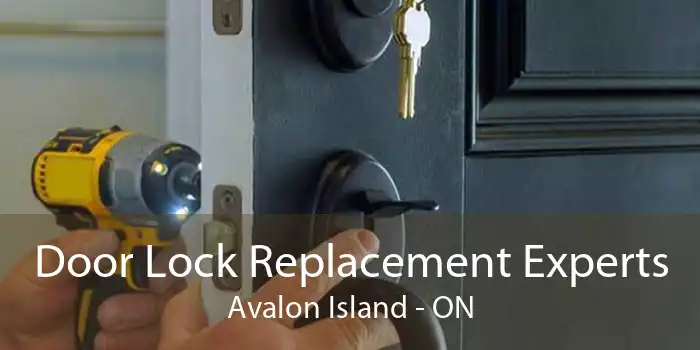 Door Lock Replacement Experts Avalon Island - ON