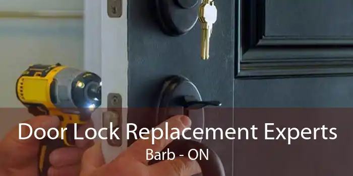 Door Lock Replacement Experts Barb - ON
