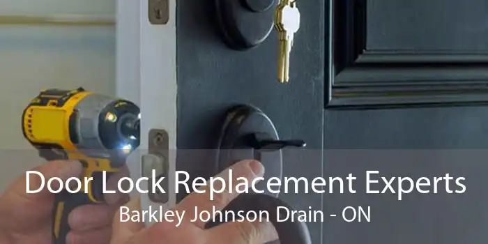 Door Lock Replacement Experts Barkley Johnson Drain - ON