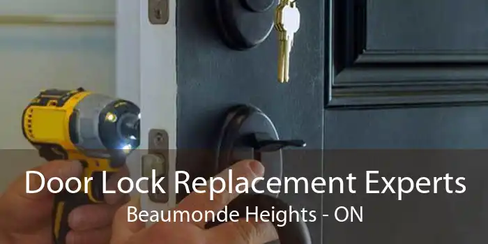 Door Lock Replacement Experts Beaumonde Heights - ON