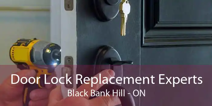 Door Lock Replacement Experts Black Bank Hill - ON
