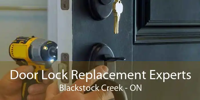 Door Lock Replacement Experts Blackstock Creek - ON