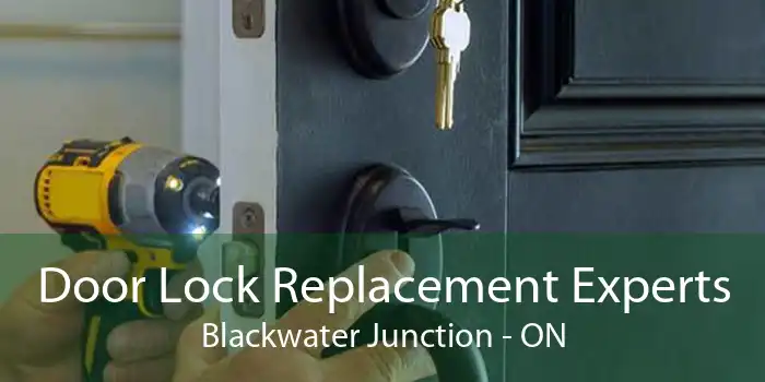Door Lock Replacement Experts Blackwater Junction - ON