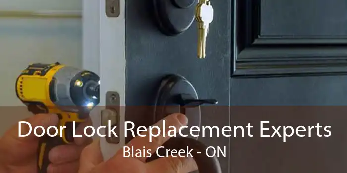 Door Lock Replacement Experts Blais Creek - ON