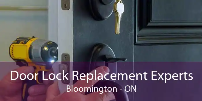Door Lock Replacement Experts Bloomington - ON