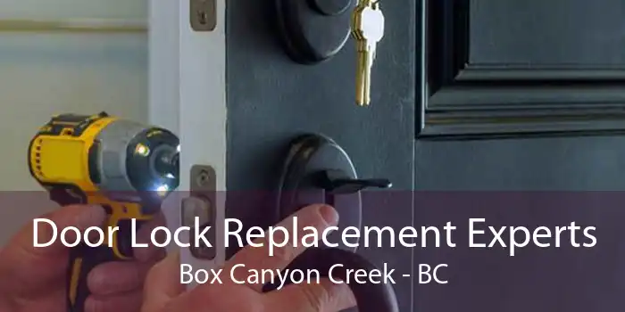 Door Lock Replacement Experts Box Canyon Creek - BC