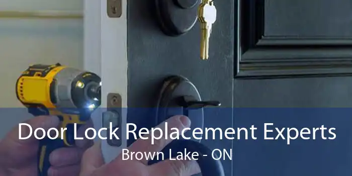 Door Lock Replacement Experts Brown Lake - ON