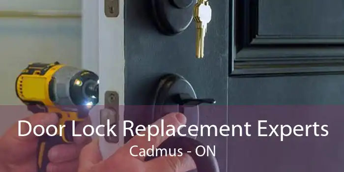 Door Lock Replacement Experts Cadmus - ON