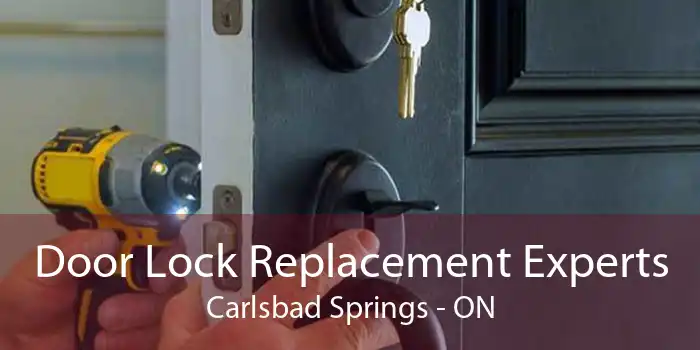 Door Lock Replacement Experts Carlsbad Springs - ON