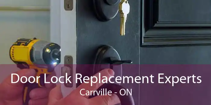 Door Lock Replacement Experts Carrville - ON