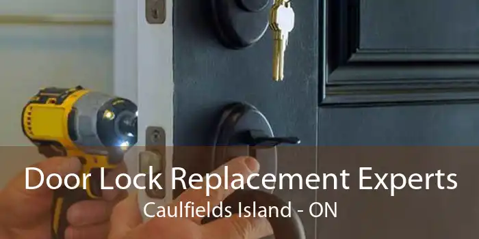 Door Lock Replacement Experts Caulfields Island - ON