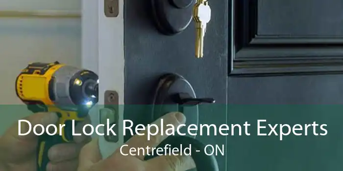 Door Lock Replacement Experts Centrefield - ON
