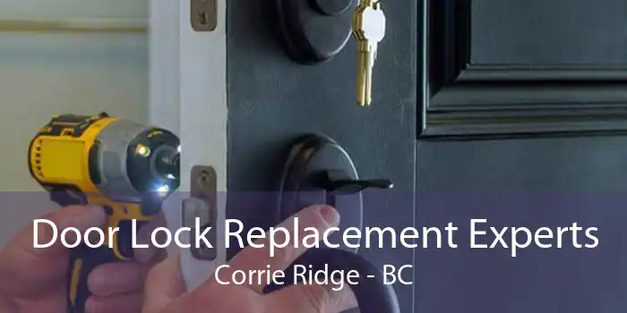 Door Lock Replacement Experts Corrie Ridge - BC