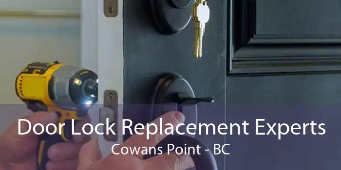 Door Lock Replacement Experts Cowans Point - BC
