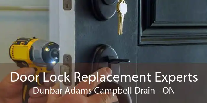 Door Lock Replacement Experts Dunbar Adams Campbell Drain - ON