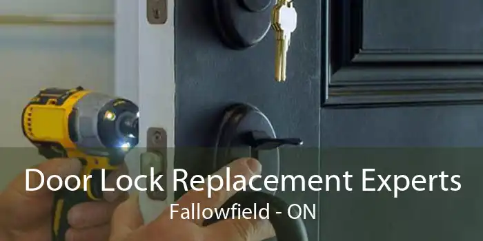 Door Lock Replacement Experts Fallowfield - ON
