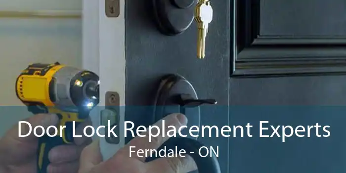 Door Lock Replacement Experts Ferndale - ON
