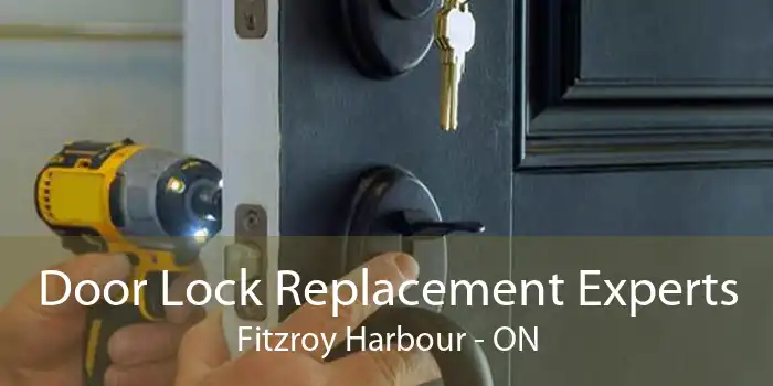 Door Lock Replacement Experts Fitzroy Harbour - ON