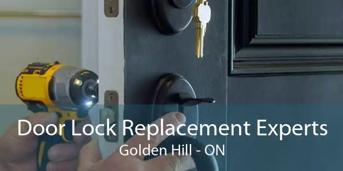 Door Lock Replacement Experts Golden Hill - ON