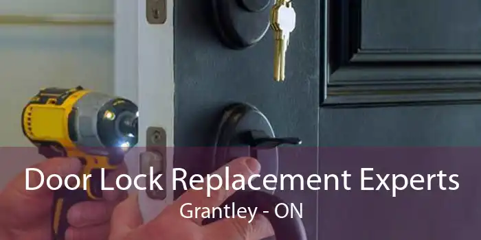 Door Lock Replacement Experts Grantley - ON