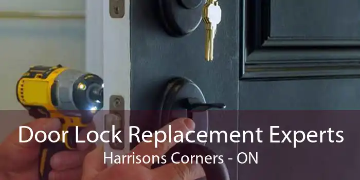 Door Lock Replacement Experts Harrisons Corners - ON