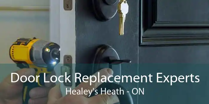 Door Lock Replacement Experts Healey's Heath - ON