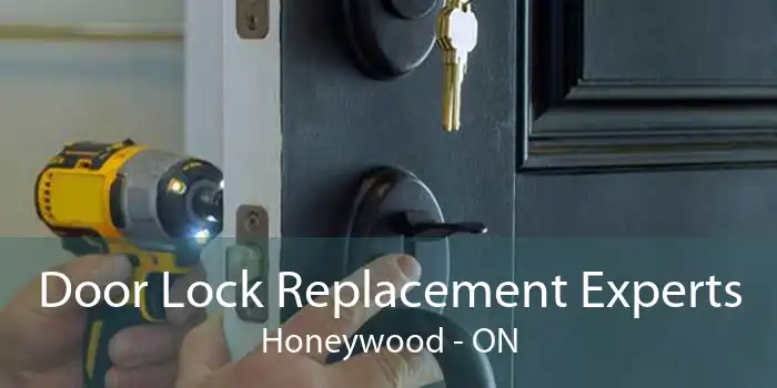 Door Lock Replacement Experts Honeywood - ON