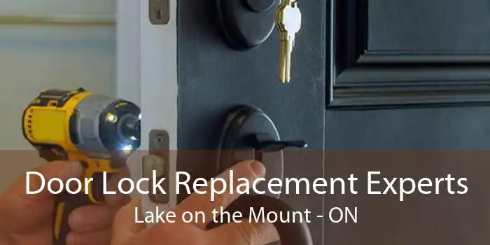 Door Lock Replacement Experts Lake on the Mount - ON