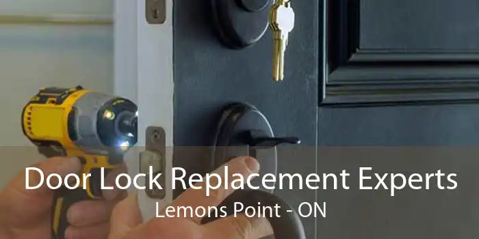 Door Lock Replacement Experts Lemons Point - ON