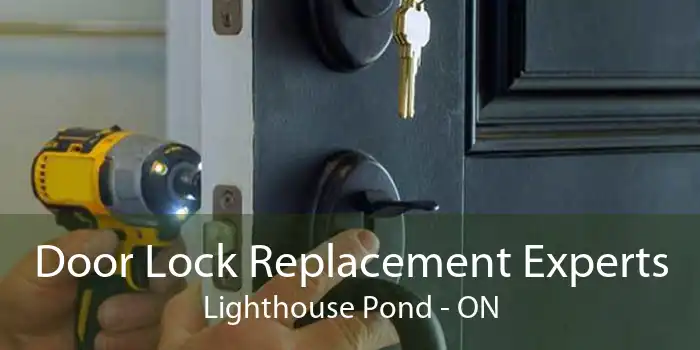 Door Lock Replacement Experts Lighthouse Pond - ON
