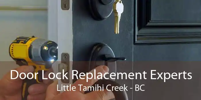 Door Lock Replacement Experts Little Tamihi Creek - BC