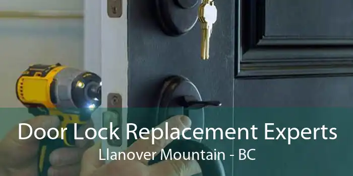 Door Lock Replacement Experts Llanover Mountain - BC