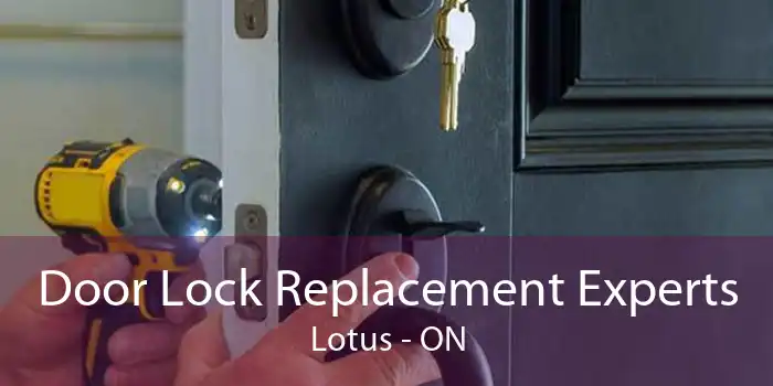 Door Lock Replacement Experts Lotus - ON