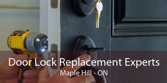 Door Lock Replacement Experts Maple Hill - ON
