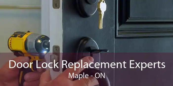 Door Lock Replacement Experts Maple - ON