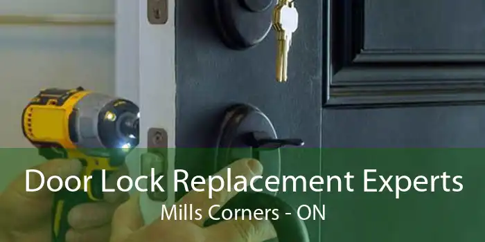 Door Lock Replacement Experts Mills Corners - ON