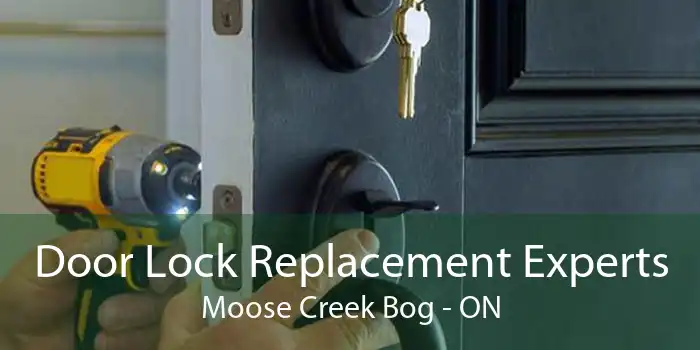 Door Lock Replacement Experts Moose Creek Bog - ON