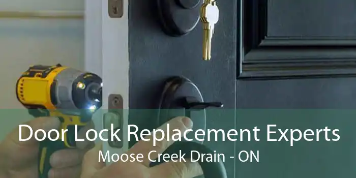 Door Lock Replacement Experts Moose Creek Drain - ON
