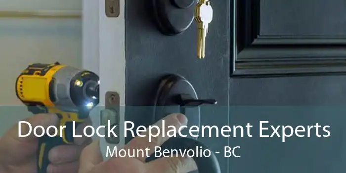 Door Lock Replacement Experts Mount Benvolio - BC