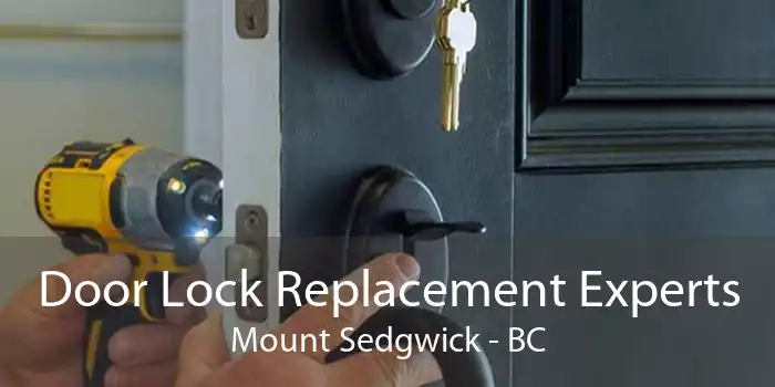Door Lock Replacement Experts Mount Sedgwick - BC